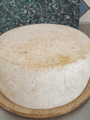 Caciotta Vaccino Stagionata