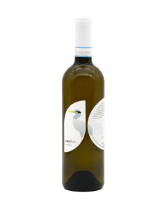 Falanghina del Sannio DOC Confine