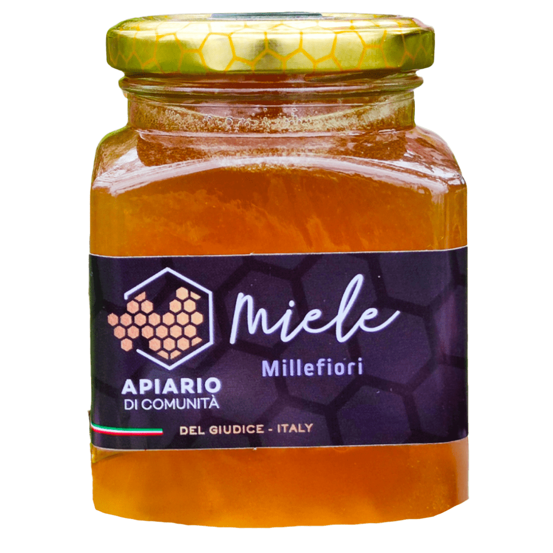 12224 Sapori in Comune